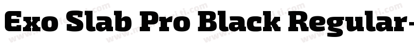 Exo Slab Pro Black Regular字体转换